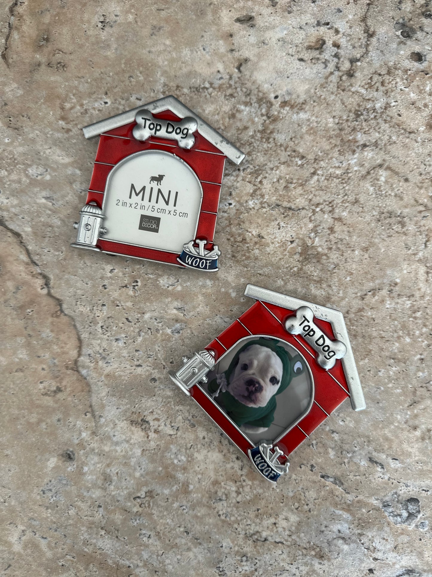 Top Dog mini frame