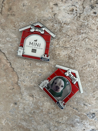 Top Dog mini frame