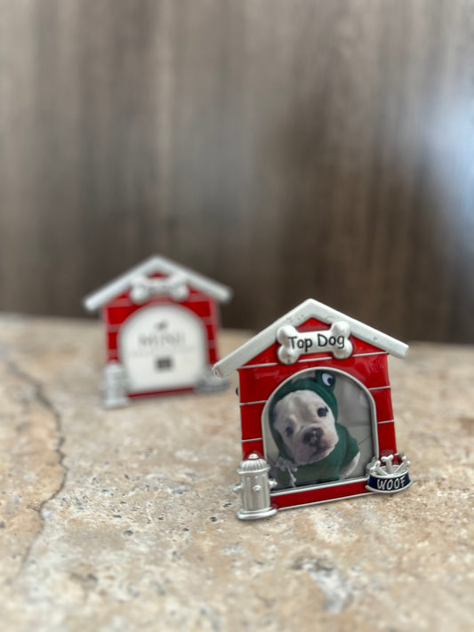 Top Dog mini frame